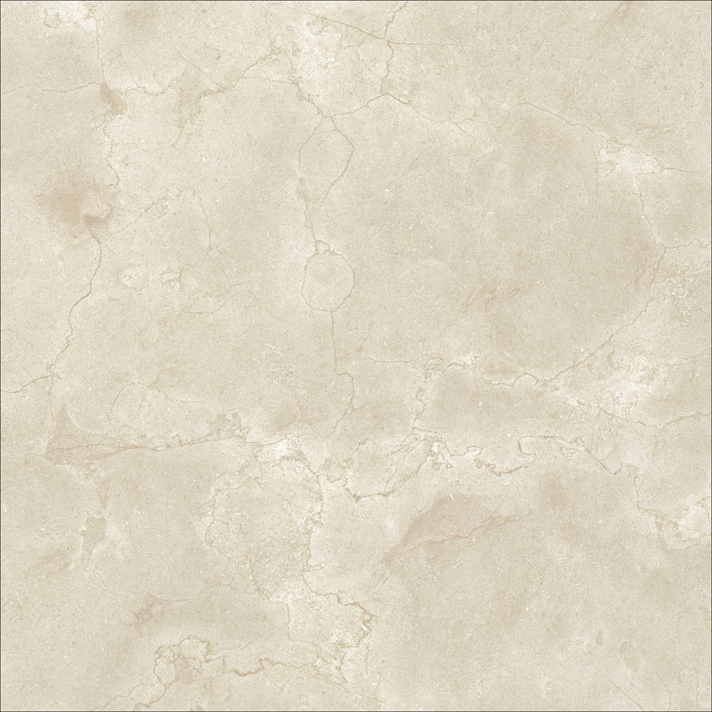 TILE.CO.JP / カンブリアン600角